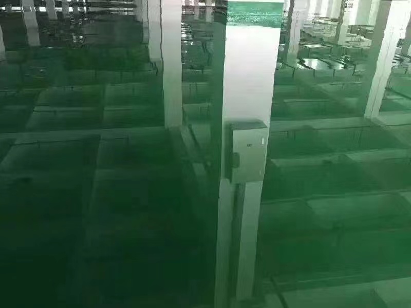 地坪漆施工的注意事项有哪些